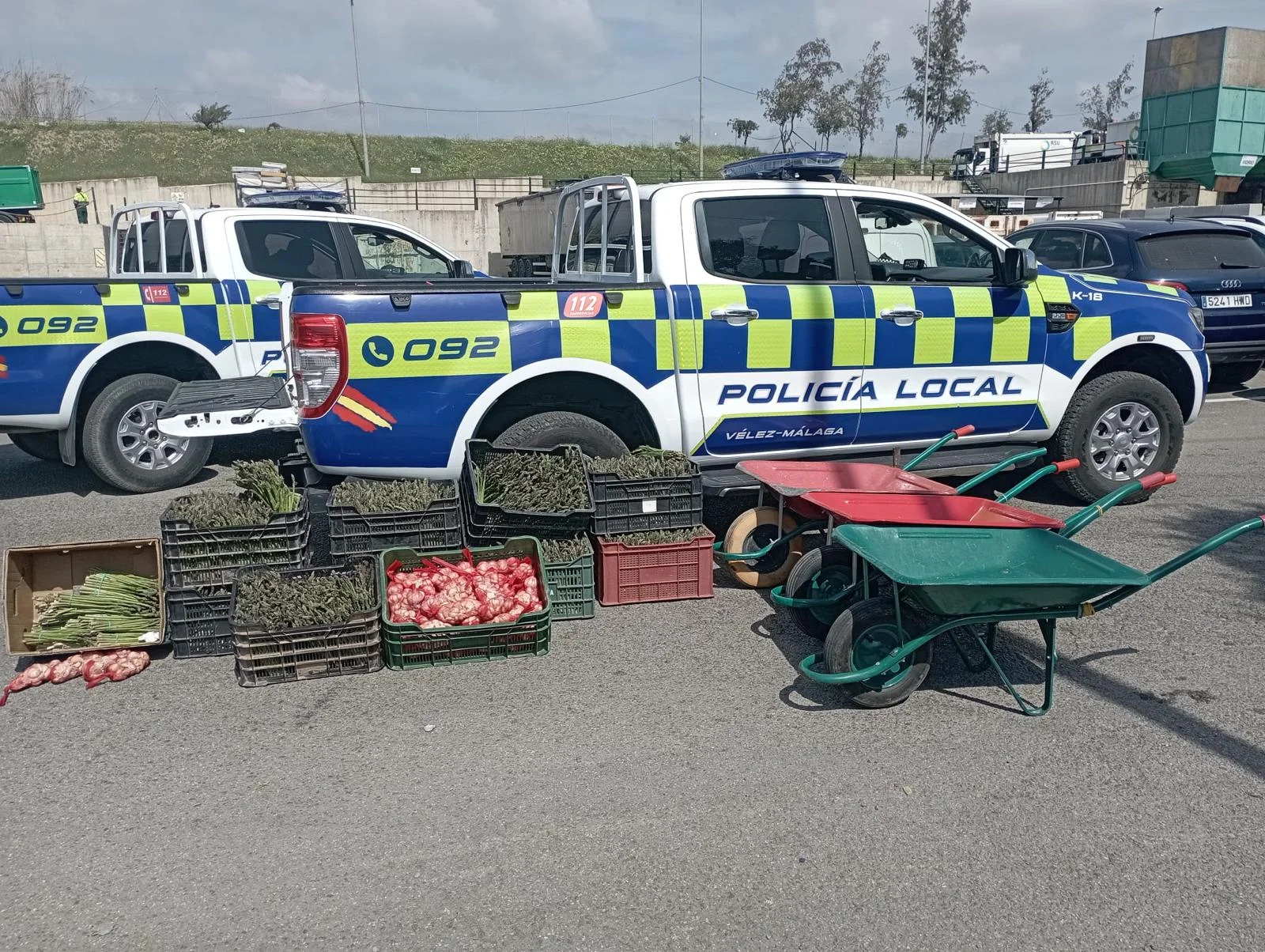 La Policía Local de Vélez-Málaga requisa más de 200 artículos falsificados y 300 kilos de fruta de venta irregular