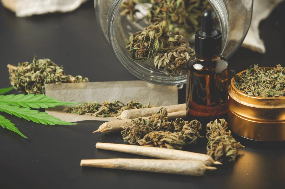 Desarticulado un Grow-Shop que ejercía como punto de venta de droga en Marbella