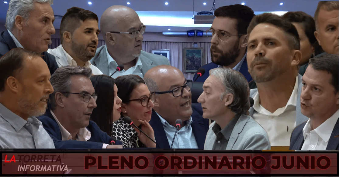 Pleno ordinario mes de julio Vélez-Málaga