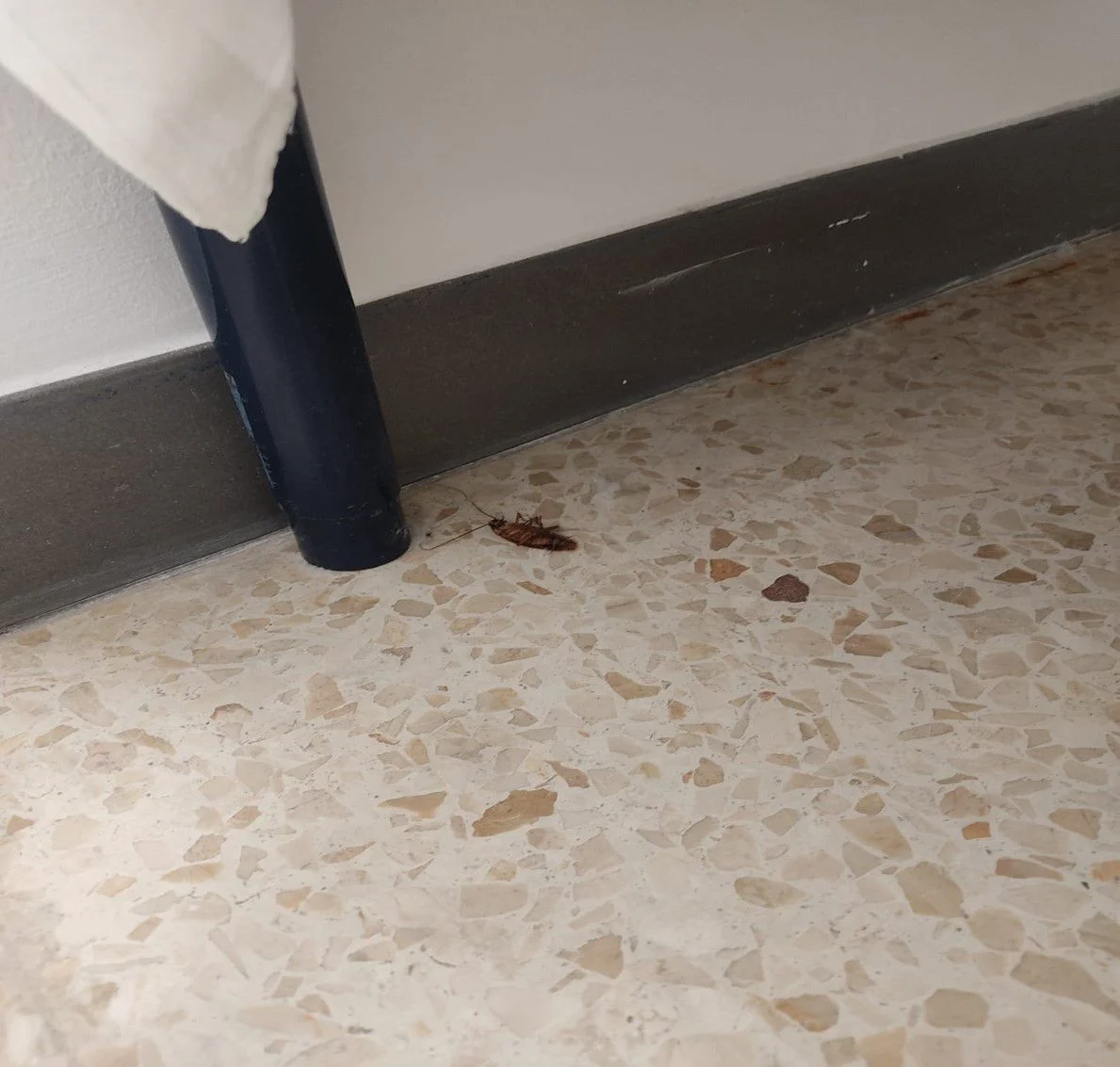 LAS CLOACAS DE LAS CAMARETAS EN EL ÁREA DE DESCANSO DEL SERVICIO DE URGENCIAS DEL HOSPITAL REGIONAL DE MÁLAGA
