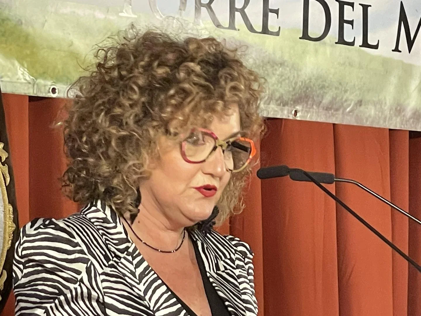 Torre del Mar presenta el cartel anunciador de la Romería de la Virgen del Carmen 2024, obra de Rosa Dolores Fernández