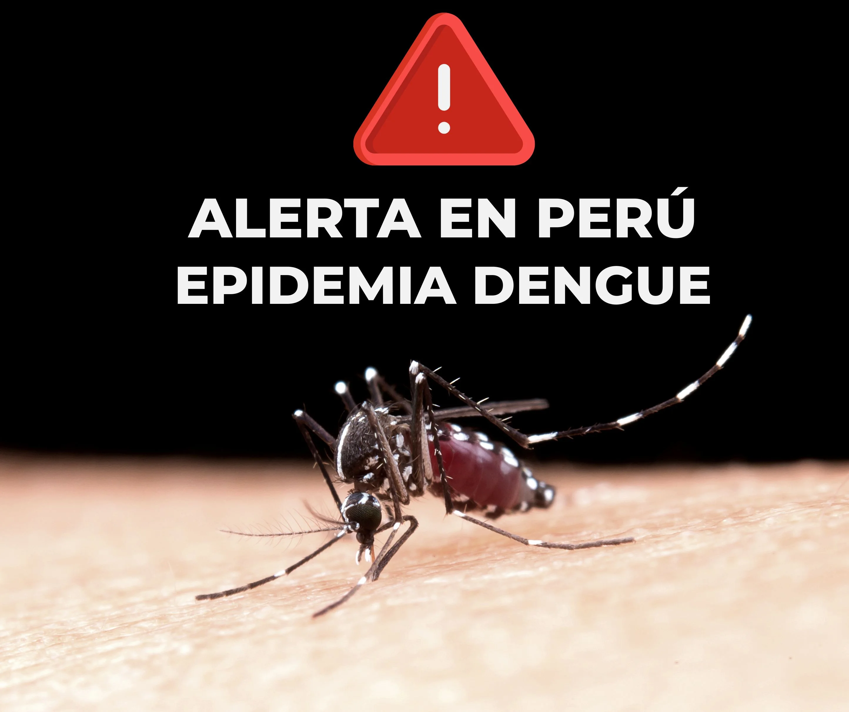 Alerta en Perú por Epidemia de Dengue Con Más de 30,000 Casos y 24 Muertes