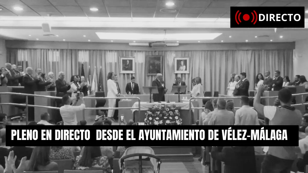 Pleno ordinario mes de enero de enero del Ayuntamiento de Vélez-Málaga
