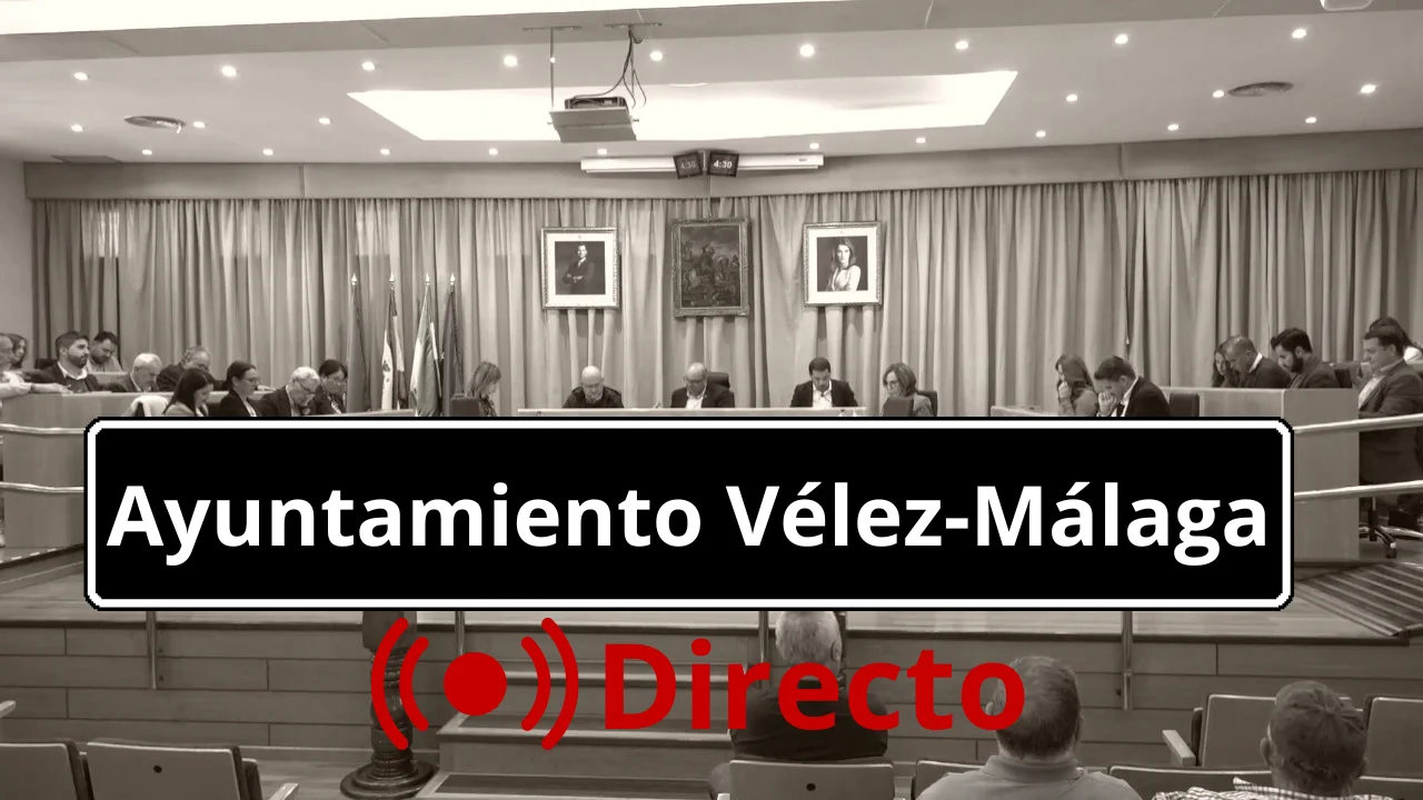Pleno ordinario mes de enero de enero del Ayuntamiento de Vélez-Málaga
