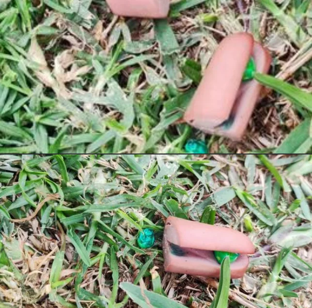 Alertan de posibles alimentos con veneno en un parque de La Cala del Moral   
