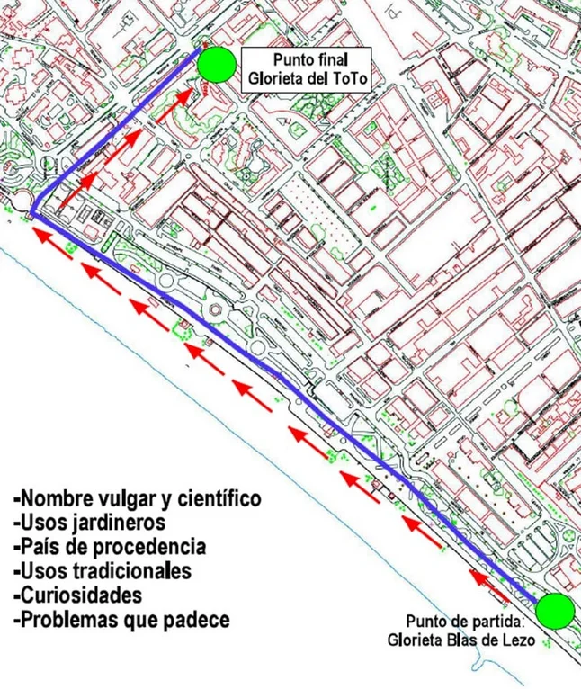 Torre del Mar acoge un Itierenario Botánico abierto para todos los públicos el proxímo sábado