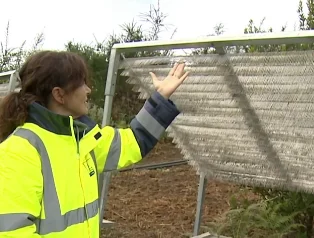 Innovador sistema en Gran Canaria captura agua de niebla para combatir la sequía