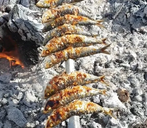 Estos dos productos clave de la gastronomía malagueña podrían salvar 750.000 vidas en un año   
