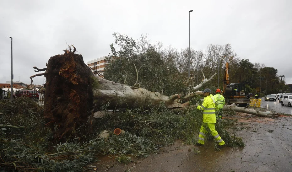 El temporal deja en Andalucía más de 300 incidencias atendidas por los servicios de emergencias 112