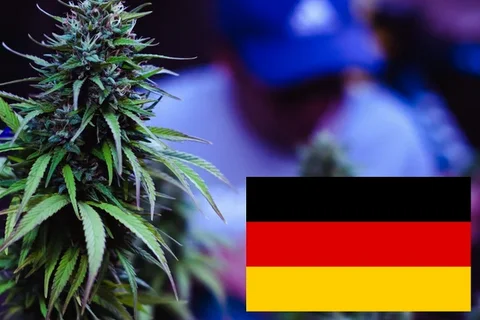 Alemania legaliza el consumo de cannabis para mayores de 18 años