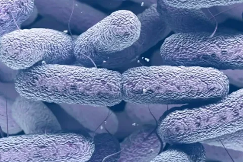 Descubiertas bacterias mutantes en la Estación Espacial Internacional que podrían ser un peligro para la humanidad por su resistencia a los antibióticos