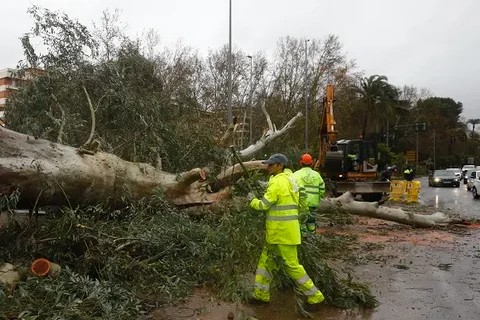 El temporal deja en Andalucía más de 300 incidencias atendidas por los servicios de emergencias 112