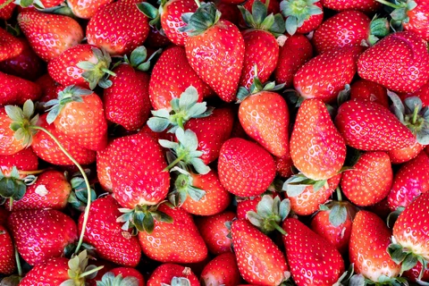 Encuentran Hepatitis A en Fresas procedentes de Marruecos