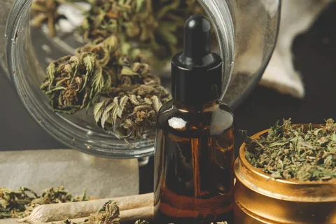 Desarticulado un Grow-Shop que ejercía como punto de venta de droga en Marbella