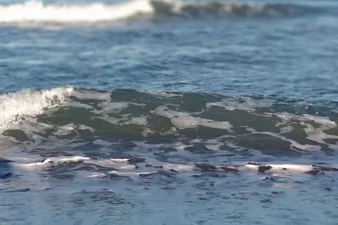 Hallan el cuerpo sin vida de un hombre de 75 años en la playa de Benalmádena