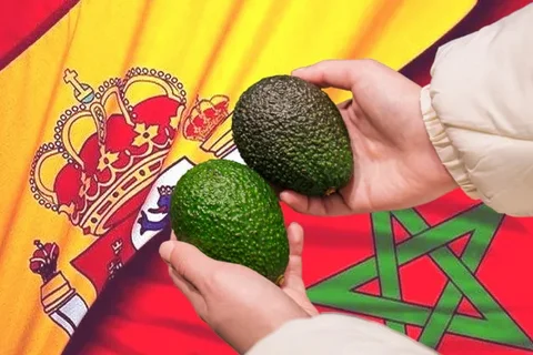 Impactante mensaje de un agricultor al descubrir que ha comprado unos aguacates de Vélez-Málaga que resultan ser de Marruecos