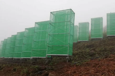 Este pueblo de España derrota la sequía con una fórmula asombrosa que proporciona grandes cantidades de agua apta para consumo y riego