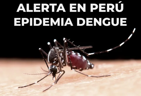 Alerta en Perú por Epidemia de Dengue Con Más de 30,000 Casos y 24 Muertes