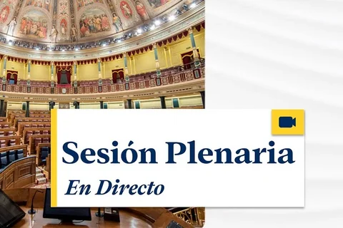 Ver en directo sesión plenaria Congreso de los diputados 16 enero 2024