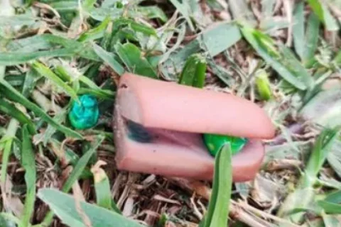 Alertan de posibles alimentos con veneno en un parque de La Cala del Moral 