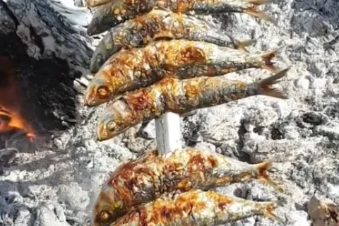 Estos dos productos clave de la gastronomía malagueña podrían salvar 750.000 vidas en un año