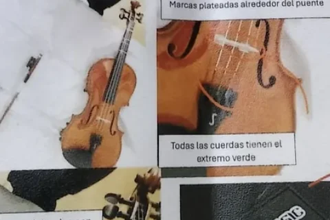 Piden ayuda y ofrecen recompensa de 150€ para recuperar un violín desaparecido en el autobús con ruta Nerja-Málaga